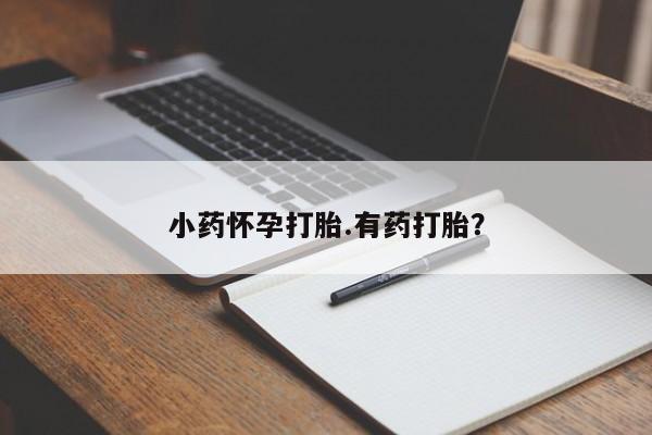 私下卖打胎药的联系方式，小药怀孕打胎.有药打胎？
