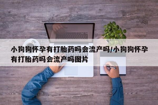 私下卖打胎药的联系方式，小狗狗怀孕有打胎药吗会流产吗/小狗狗怀孕有打胎药吗会流产吗图片