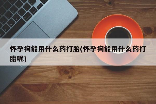 私下卖打胎药的联系方式，怀孕狗能用什么药打胎(怀孕狗能用什么药打胎呢)